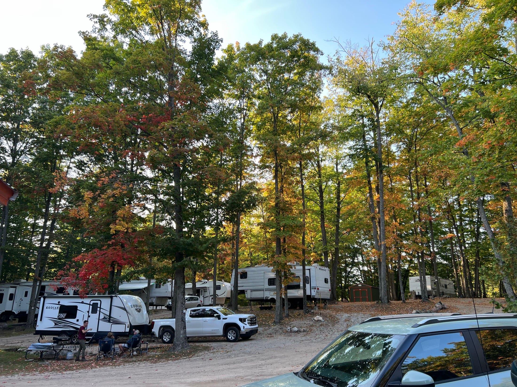 RV campers parked beneath tall trees at Cadillac Woods