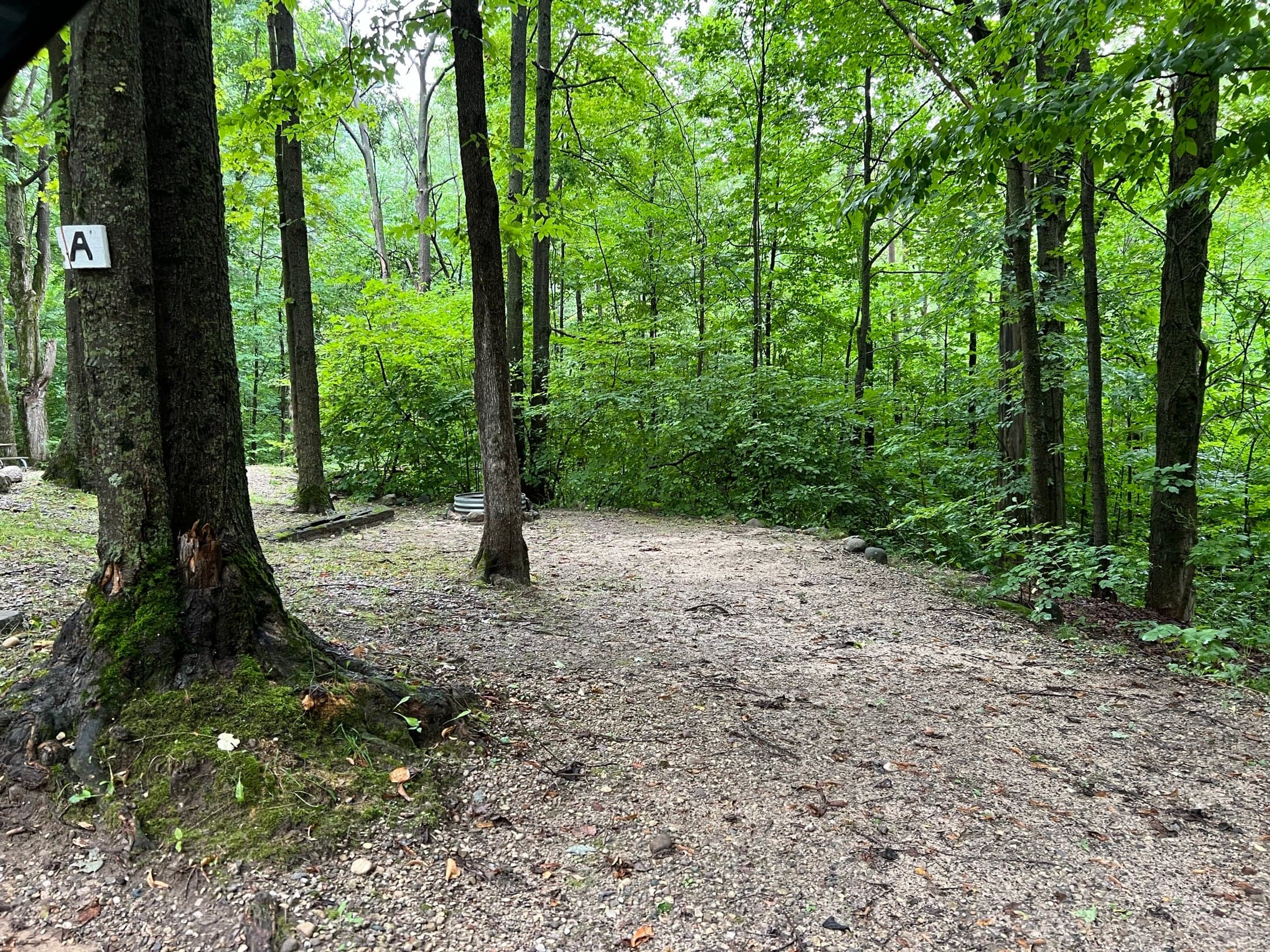 Wooded rustic site with a gravel pull-in at Cadillac Woods