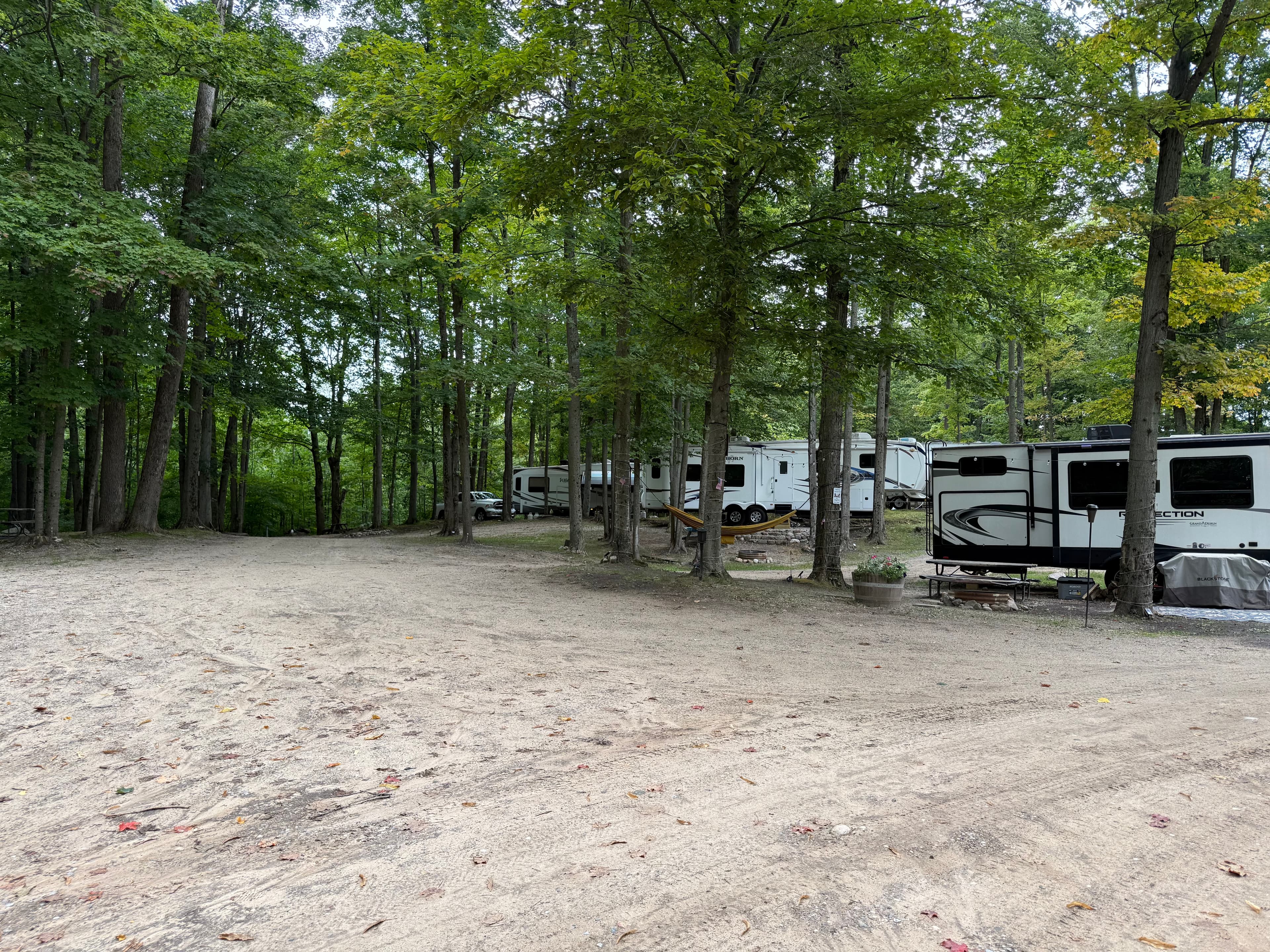 Wooded rustic camping area at Cadillac Woods